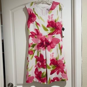 Sandra Darren V neck dress